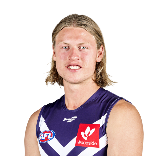Hayden Young profile picture